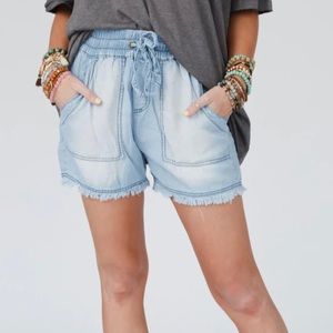 Three Bird Nest Chambray Shorts XL